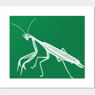 Praying Mantis - insect lovers design Posters and Art